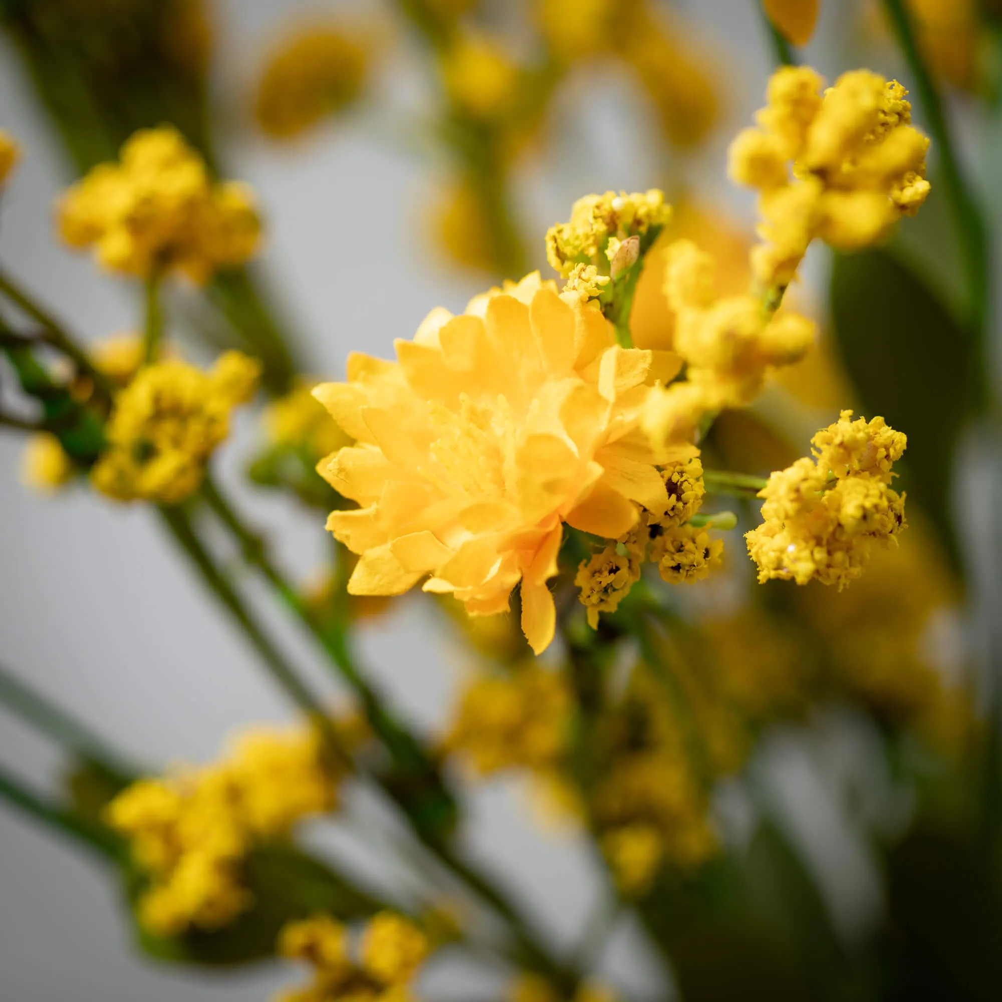 14"H Sullivans Yellow Wildflower Small Wreath, Yellow