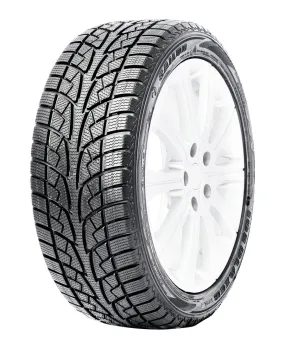 Ice Blazer WSL2 - 185/65R15 88T