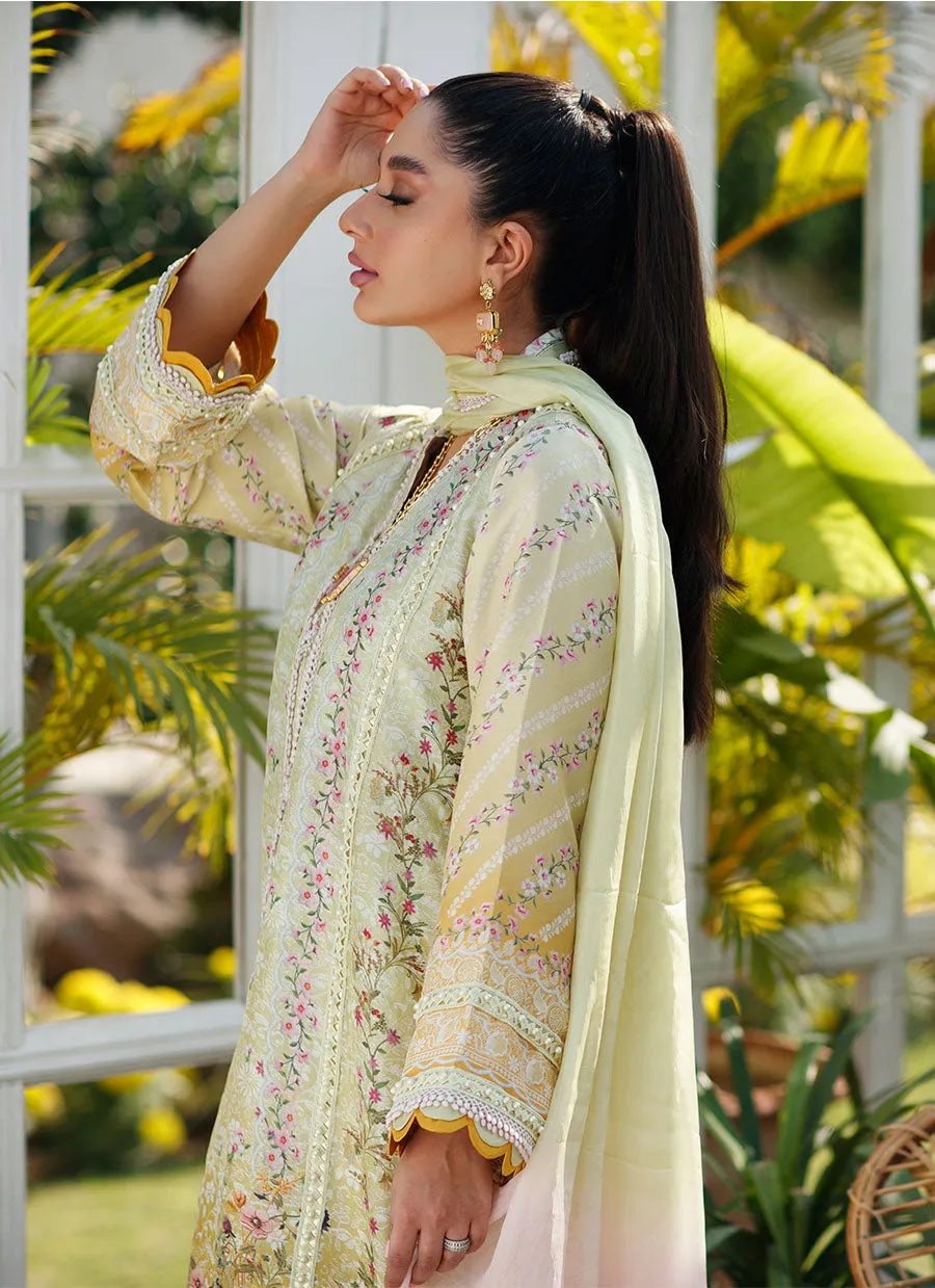 Jolie Shirt and Dupatta