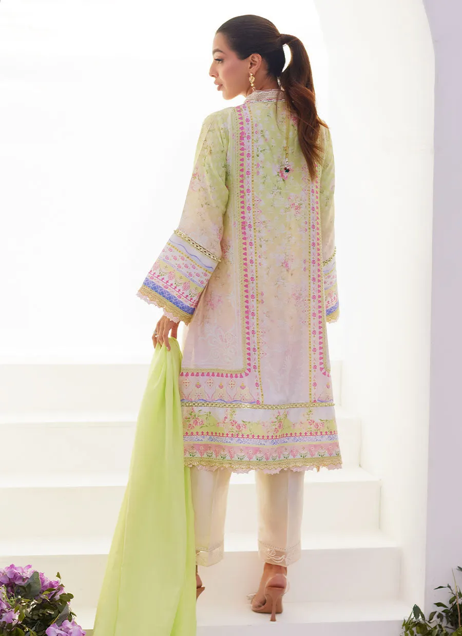 Pear Ombrè Shirt and Dupatta