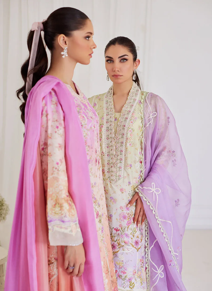 Renata Shirt with Embroidered Dupatta